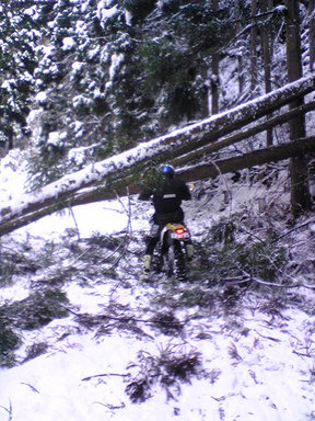 f0041633_18381340.jpg