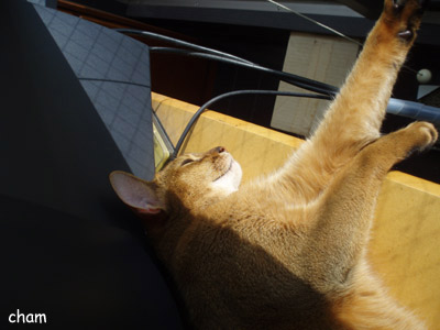 c0132438_2118260.jpg