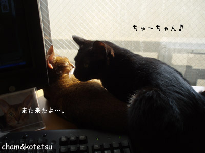 c0132438_21193165.jpg