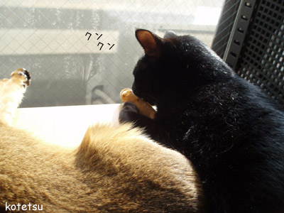 c0132438_2120636.jpg