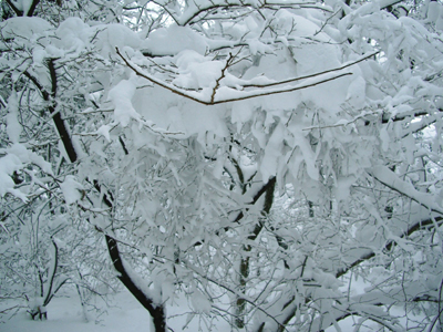 e0110940_0473378.jpg