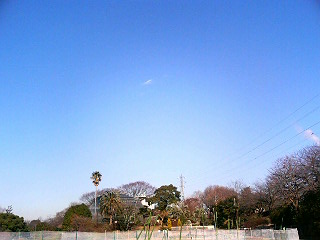 e0150843_179312.jpg