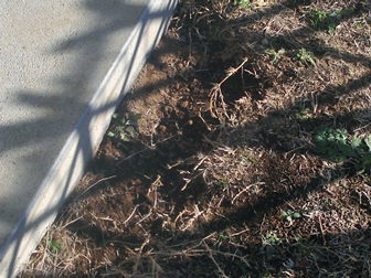 c0086746_13205212.jpg