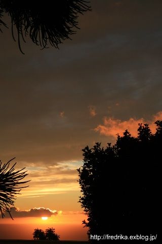 e0129046_1017225.jpg