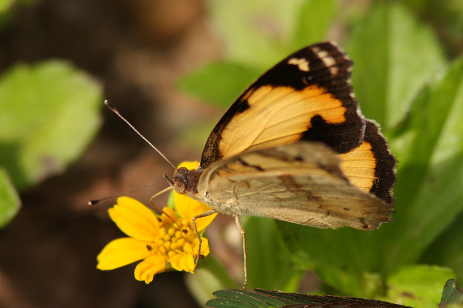 a0094850_2095667.jpg