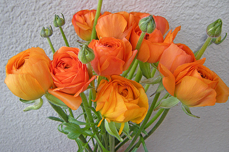 a0001354_19375598.jpg