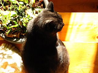 a0021558_2351910.jpg