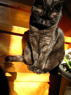 a0021558_23522881.jpg