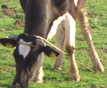c0182858_5545139.jpg
