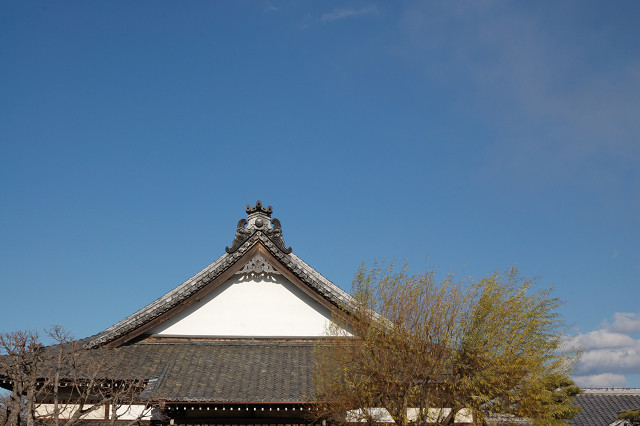 c0050163_14561179.jpg