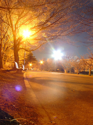 f0166066_2325322.jpg