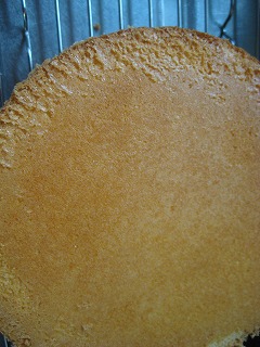e0165570_9501147.jpg
