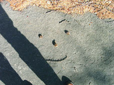 f0034574_2374158.jpg