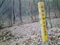 b0004675_13534010.jpg