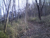 b0004675_13535630.jpg