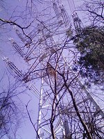 b0004675_1426516.jpg