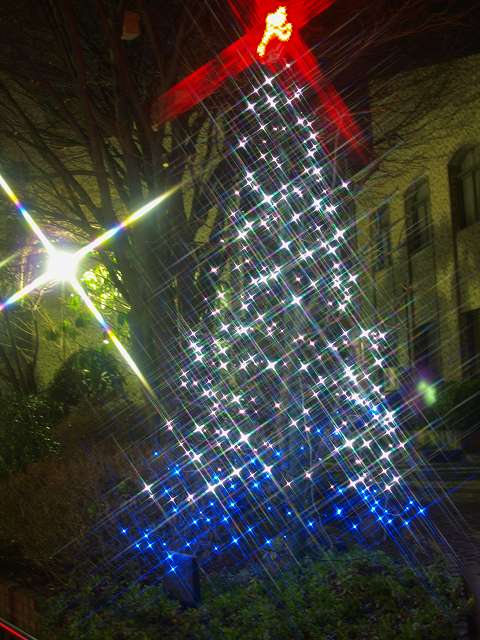 c0187587_0304477.jpg