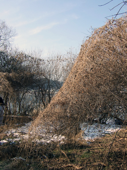 c0123189_2015024.jpg