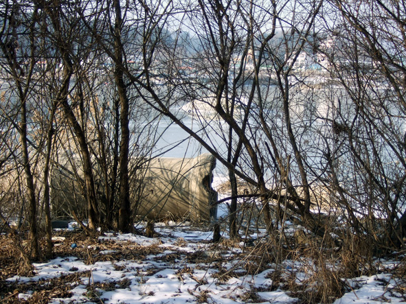 c0123189_2021187.jpg
