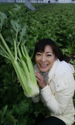 a0094090_1224030.jpg