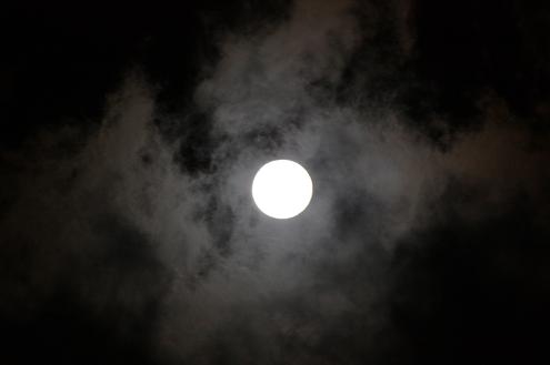 b0107691_2324981.jpg
