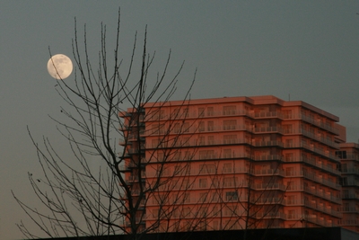 d0032693_9283551.jpg