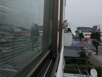 d0065398_212153.jpg