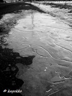 e0007801_1714240.jpg