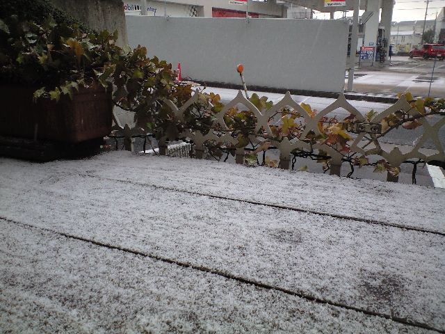 d0000607_0555555.jpg