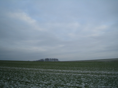d0135907_2582916.jpg