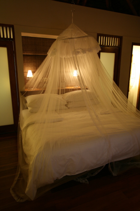 c0158310_142553.jpg