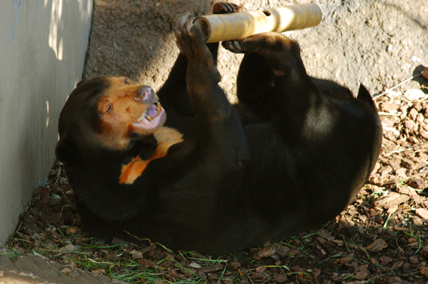 b0150811_0263987.jpg