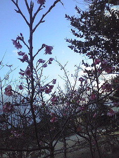 e0071811_22229100.jpg