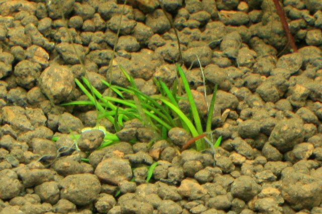 f0132112_0132470.jpg