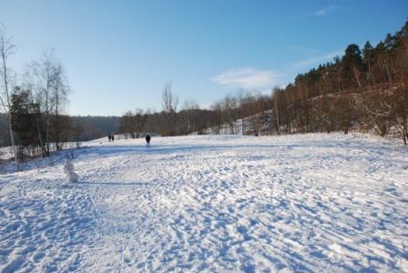 f0157115_731166.jpg