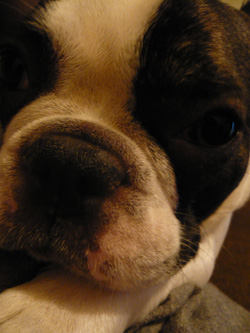c0144016_1050522.jpg