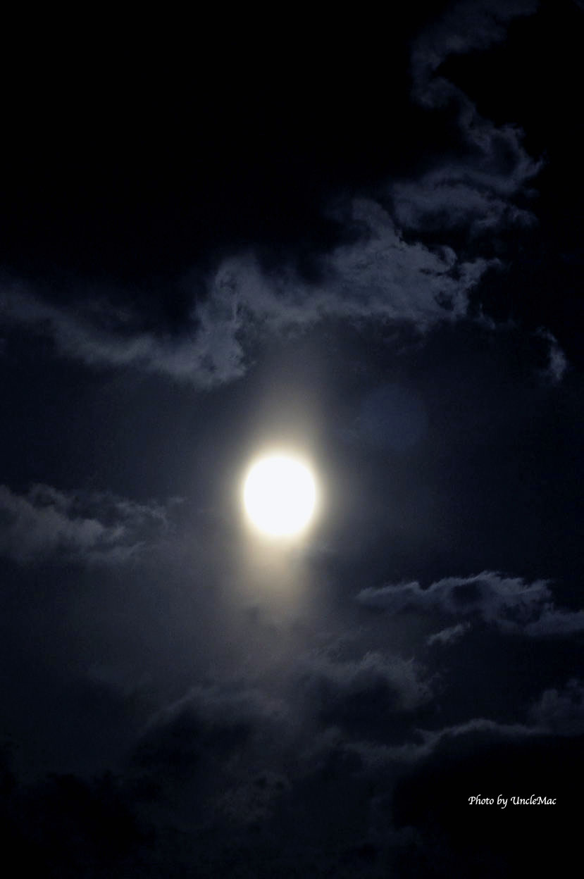 e0028625_23231430.jpg