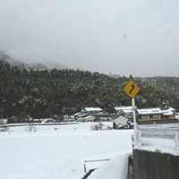 d0033734_1115710.gif