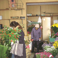 d0033734_1122182.gif