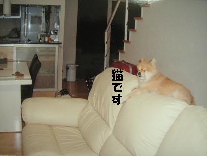 c0179136_21042.jpg