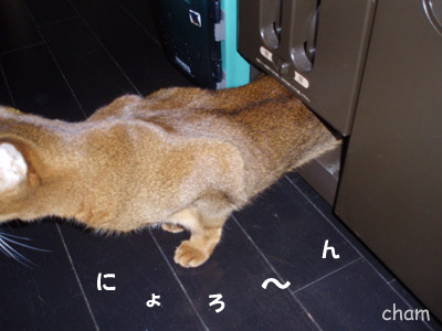 c0132438_22144213.jpg