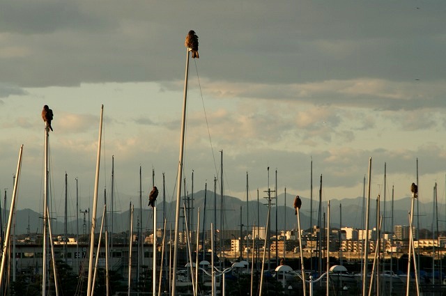 d0141239_214139.jpg