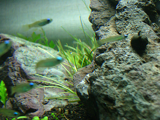 e0150140_2127988.jpg