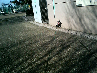 e0150843_18302892.jpg