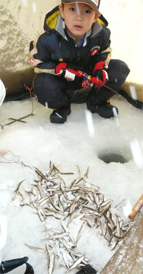 f0163063_16413428.gif