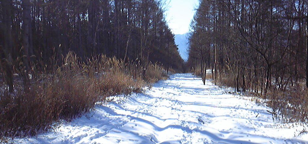 f0196364_16593543.jpg