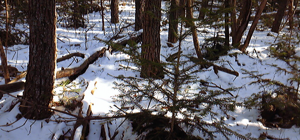 f0196364_1703420.jpg