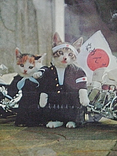 d0030168_074139.jpg
