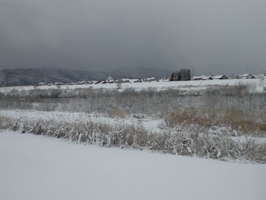 e0085772_11441886.jpg