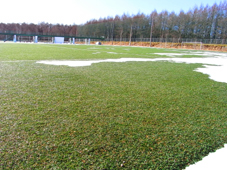 f0034574_230855.jpg